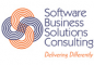 Software Business Solutions Consulting