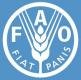 Food and Agriculture Organization Of the United Nations