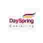 DaySpring Consulting