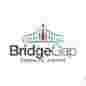 Bridgegap Consults Limited