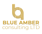 Blue Amber Consulting Limited